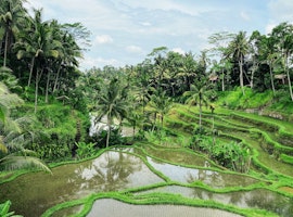 Heavenly 8 Nights Bali Indonesia Package from Ahmedabad