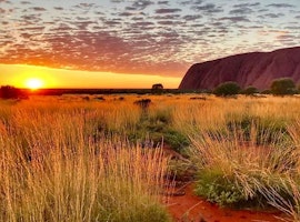 Memorable family vacations to get the best of Australia