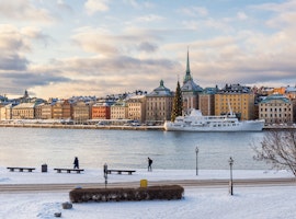 Ideal Sweden Tour Package