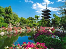 Incredible 10 day trip to Japan for Honeymoon