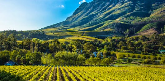 A-rejuvenating-6-night-South-Africa-itinerary