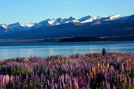 A fun family itinerary to explore New Zealand in 14 days
