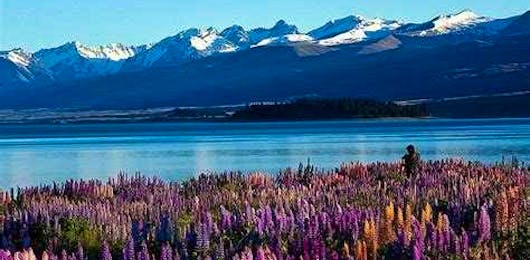 Magnificent-13-day-trip-to-New-Zealand-for-Honeymoon