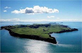 Memorable 10 Days New Zealand Adventure Tour Package