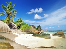 Blissful Seychelles Honeymoon package from India