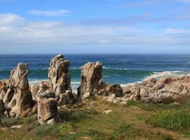 Ideal South Africa Vacation itinerary for 13 days of excitement