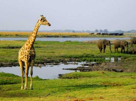 Rejuvenating 11 day South Africa itinerary for the Family travellers