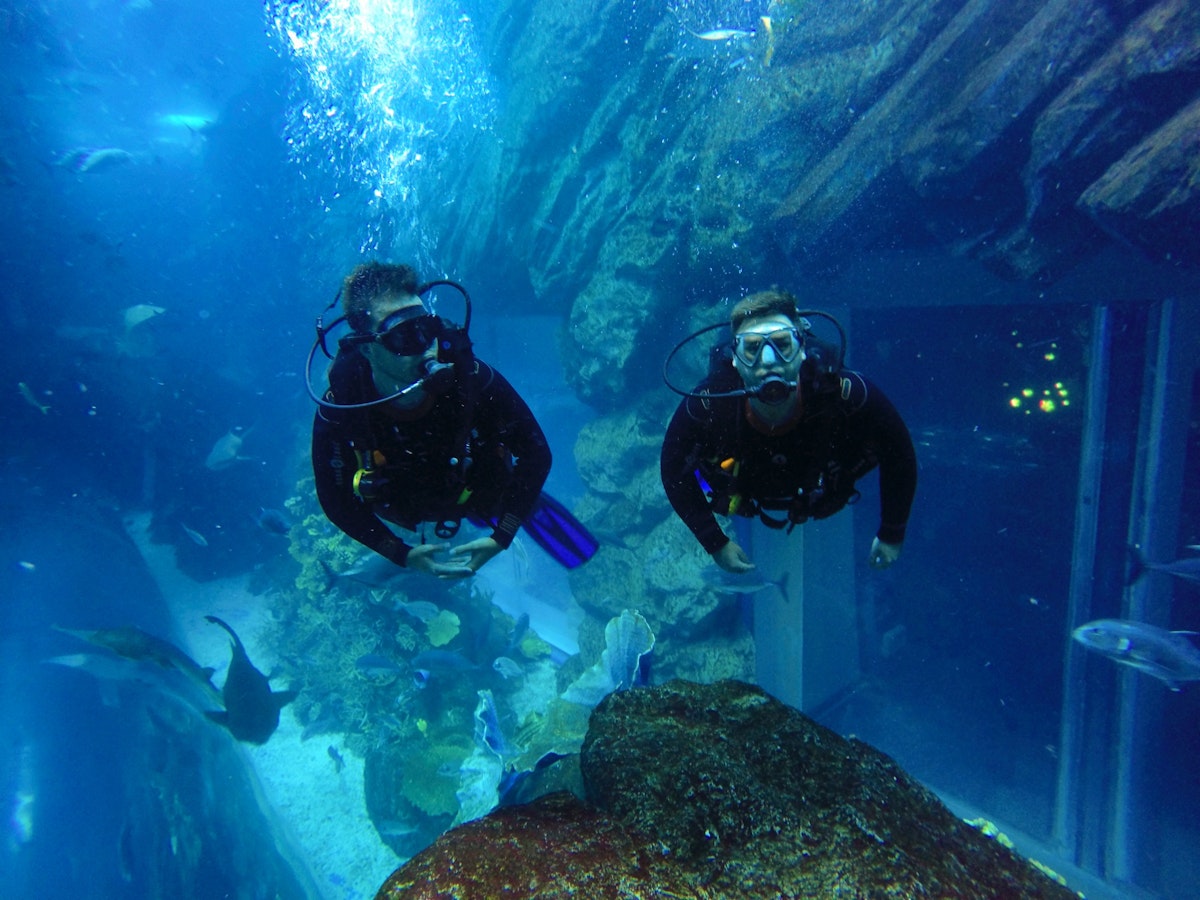 Scuba Diving In Dubai Tour Packages