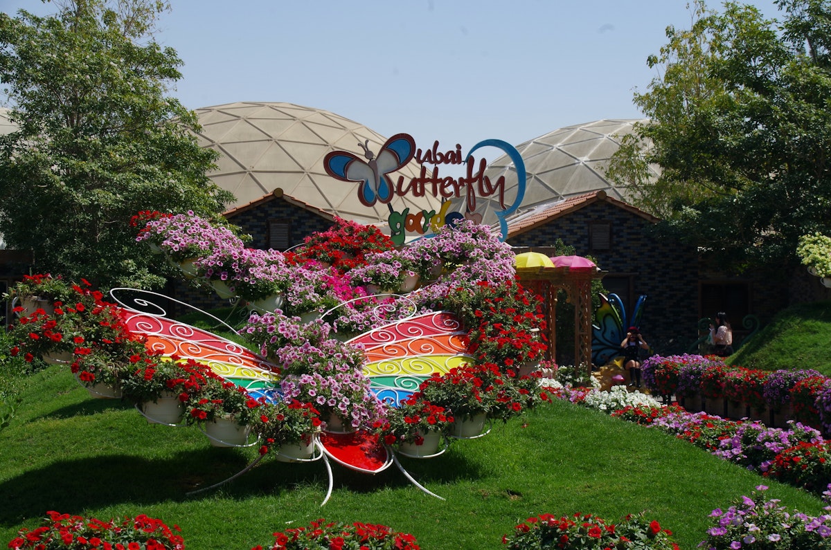 Dubai Butterfly Garden Tour Packages