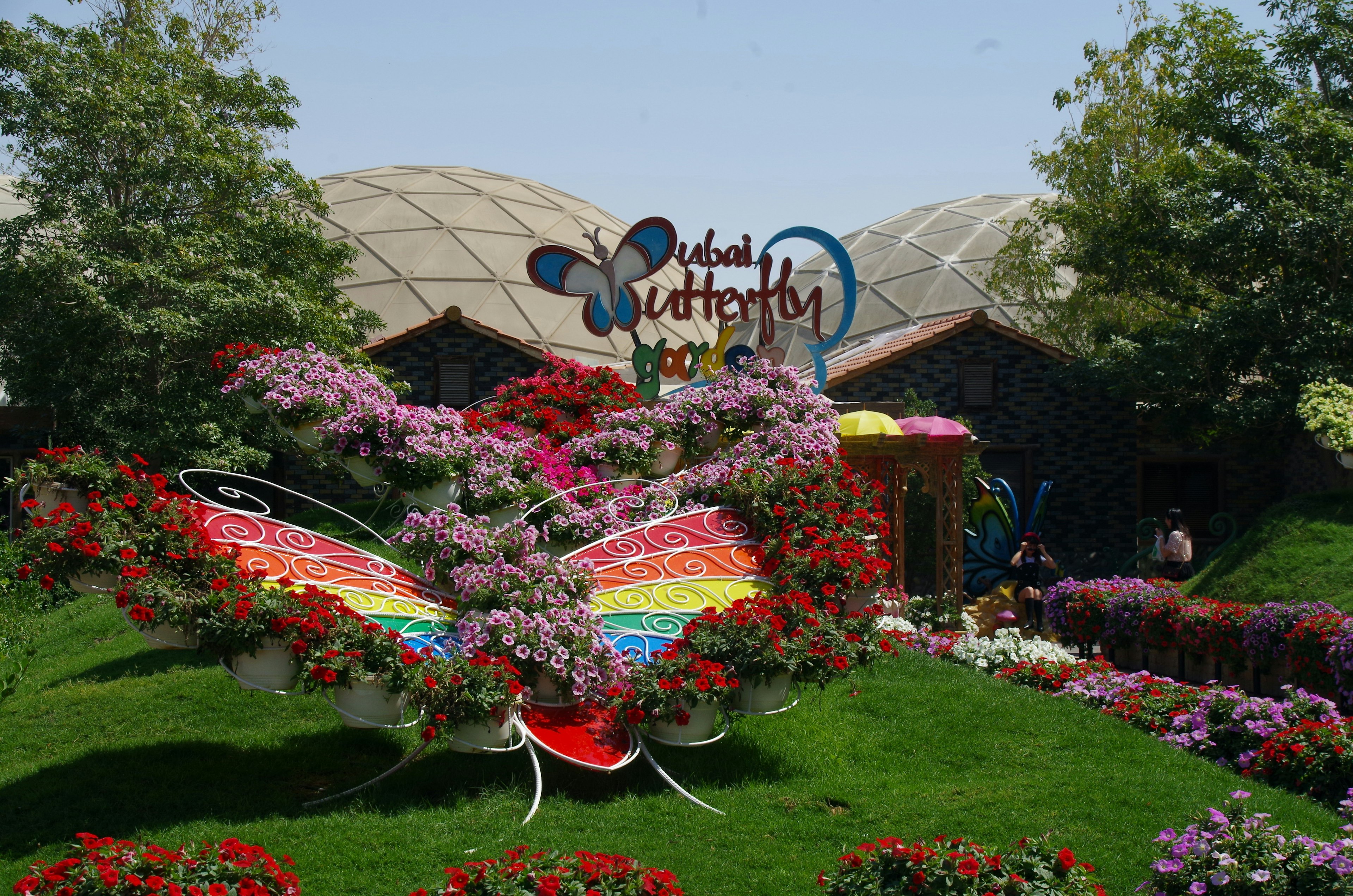 Dubai Butterfly Garden Tour Packages