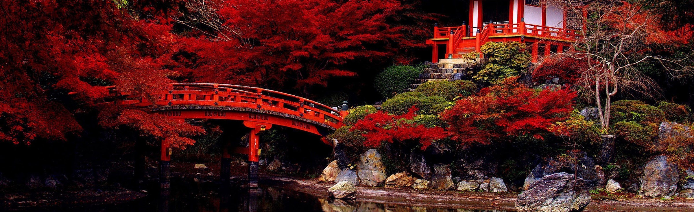 Japan Family Tour Packages