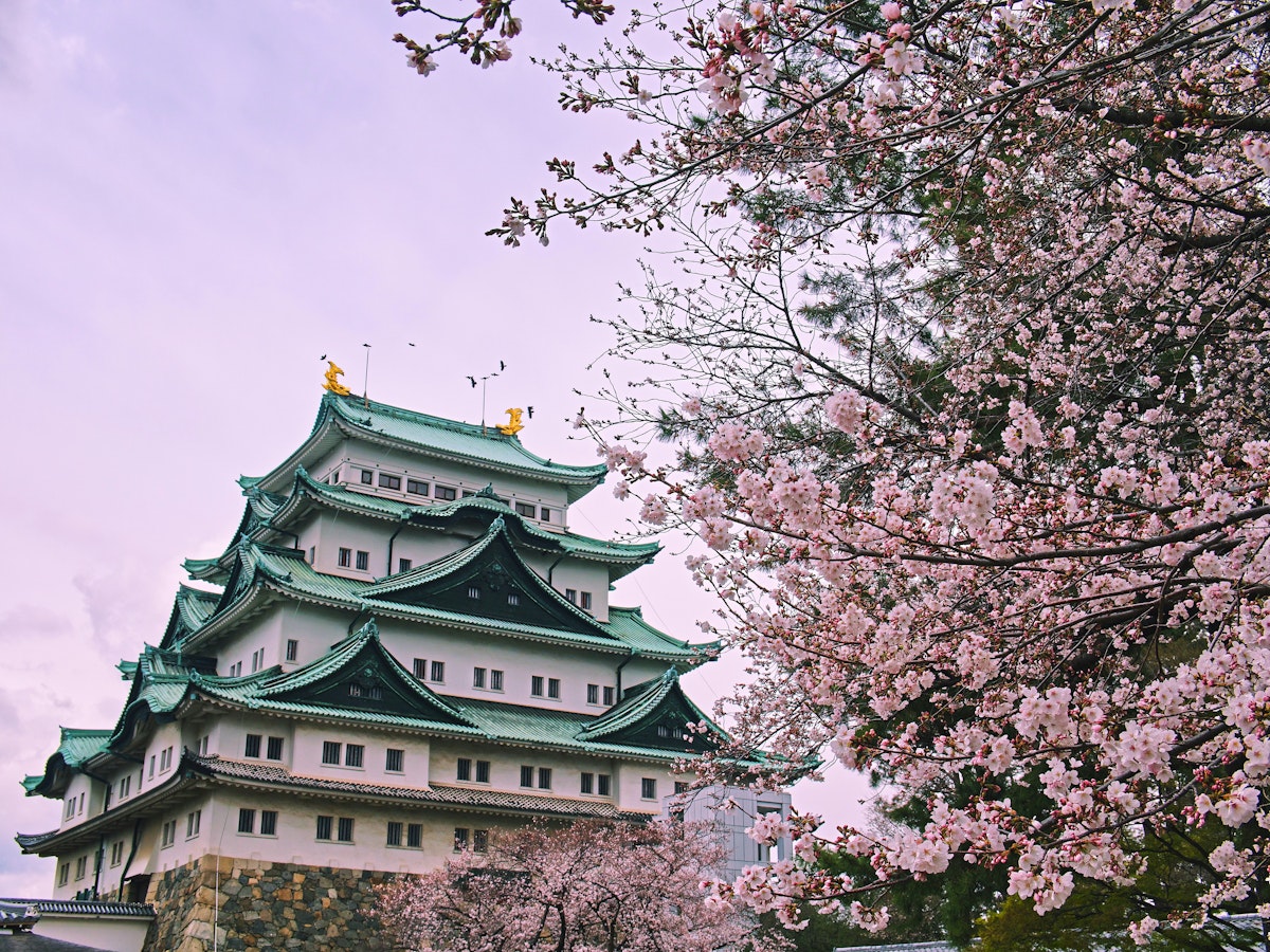 Japan Tour Packages from Bangalore