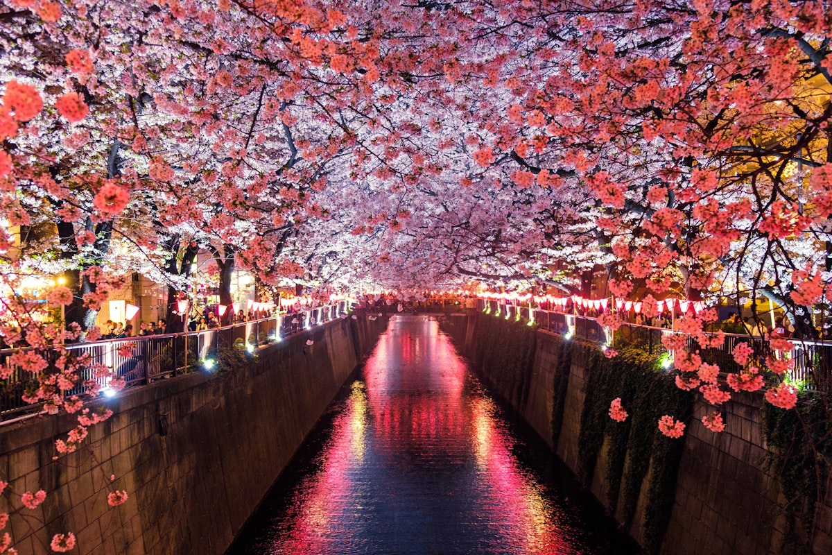 Tokyo Tour Packages from Ahmedabad