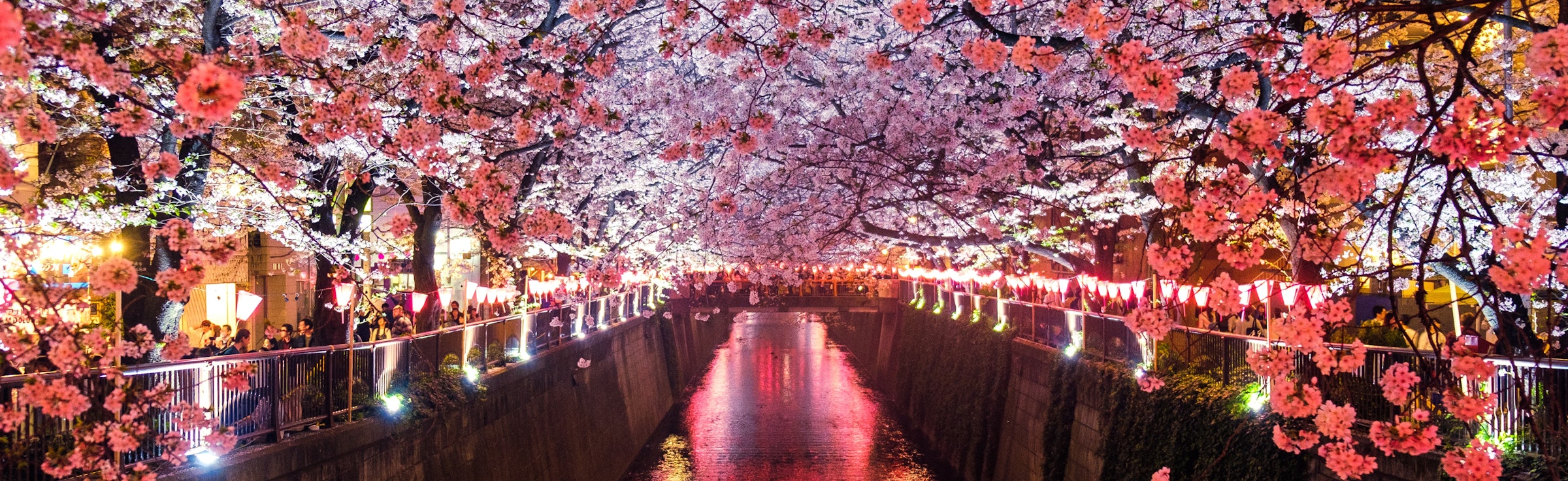 Tokyo Tour Packages from Ahmedabad