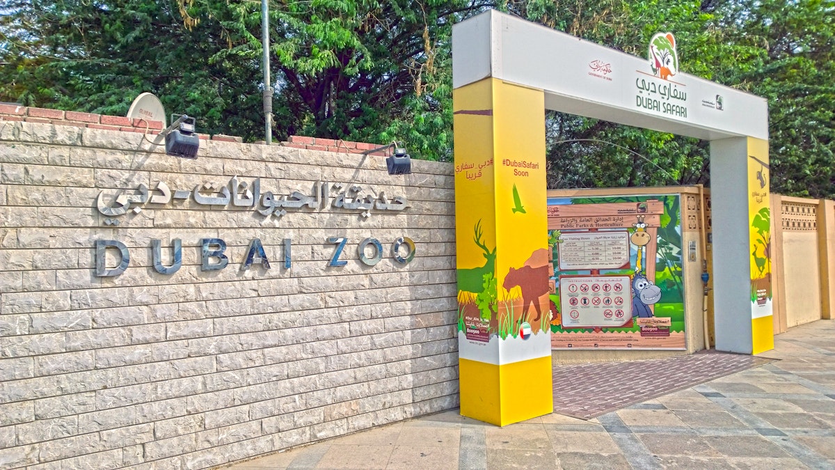 Dubai Zoo Tour Packages