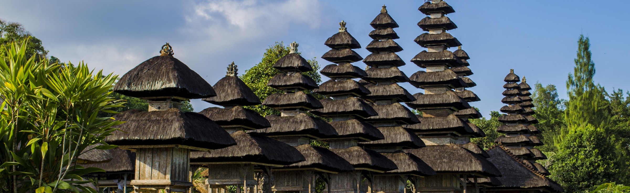 Bali Safari Packages