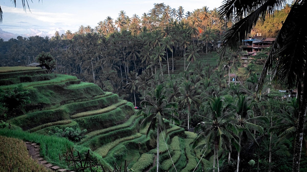 Ubud Packages Tour Packages