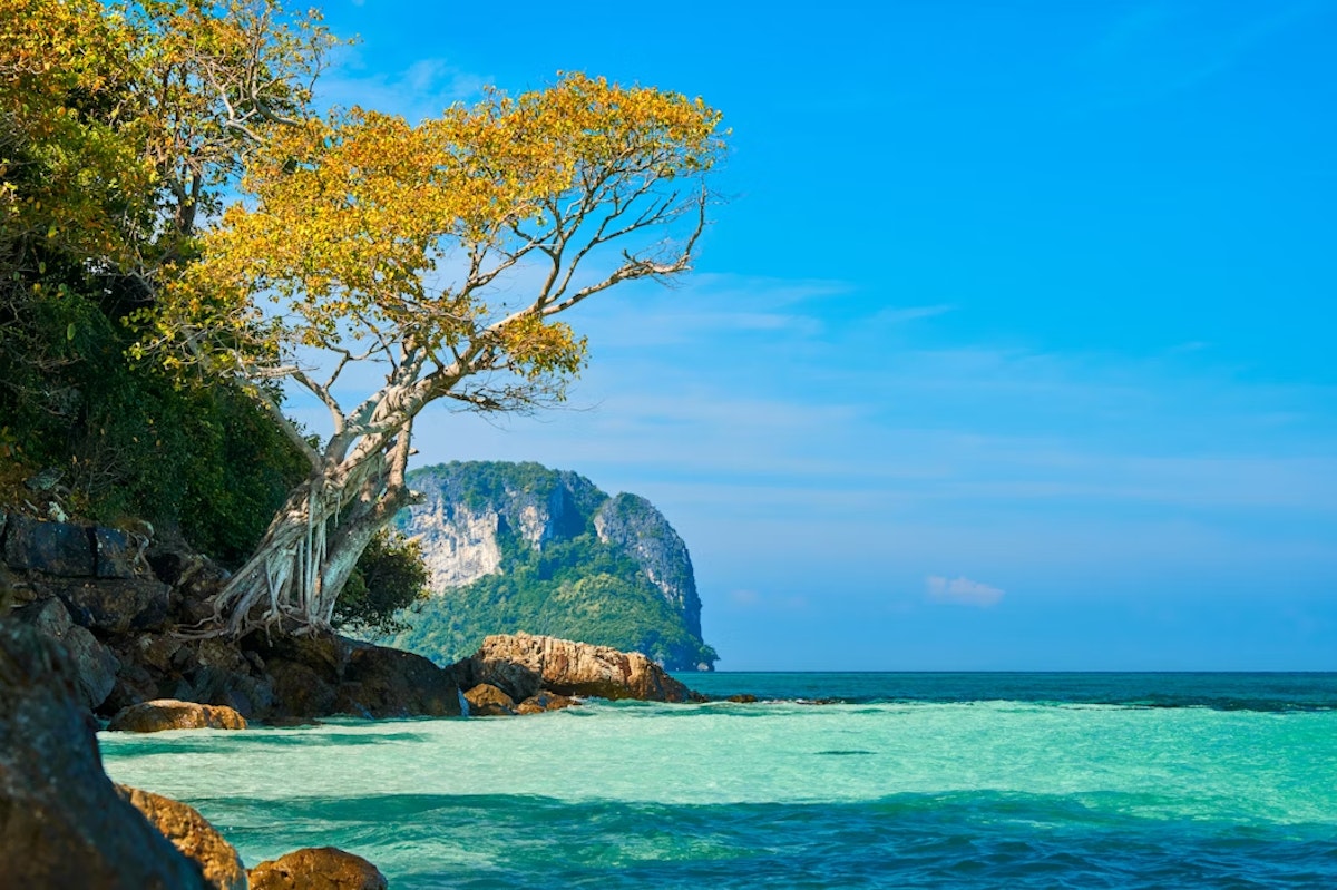 Krabi Snorkelling