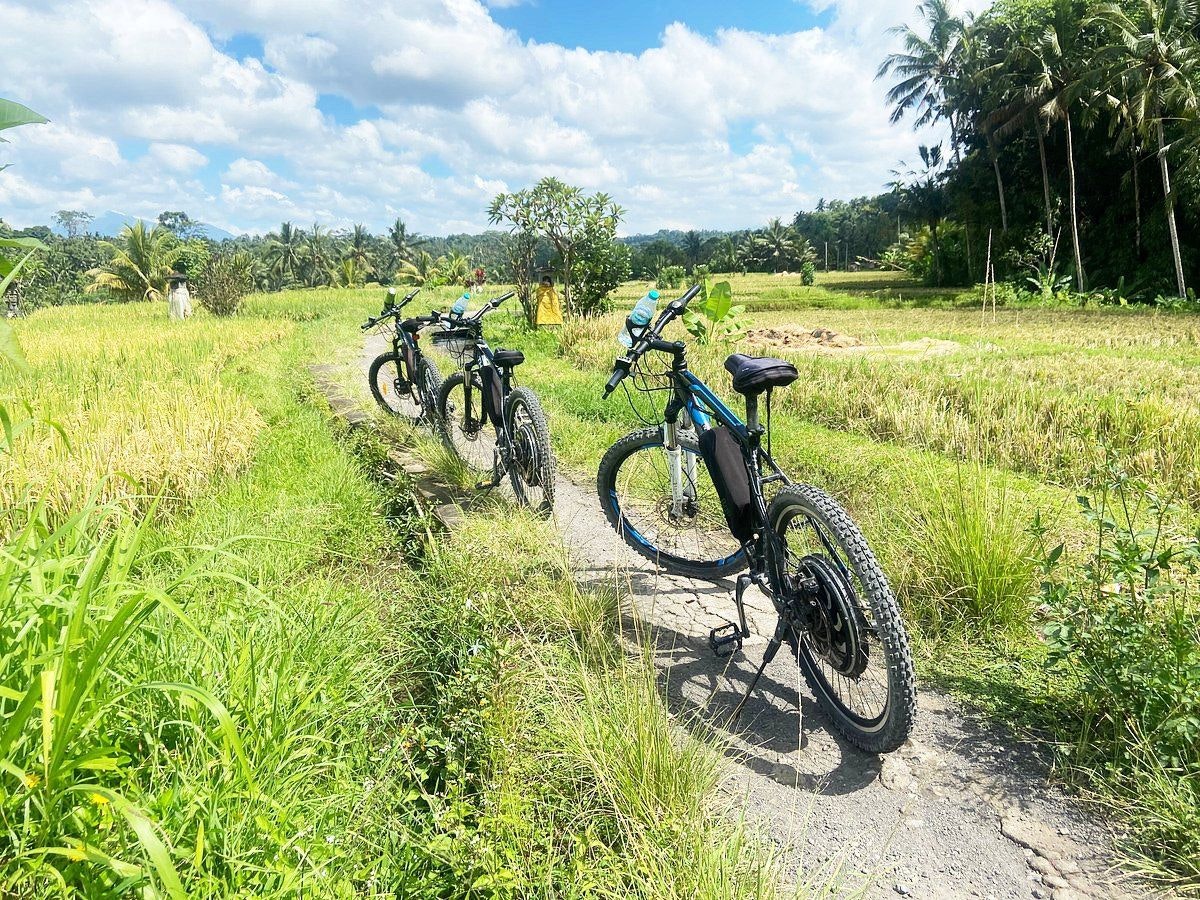 mountain biking in Ubud.jpeg