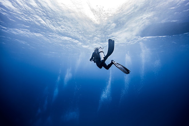 scuba-diver-in-cancun-mexico-2022-03-07-23-55-13-utc.jpg
